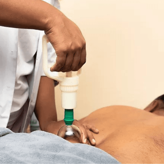 Naturopathy wellness and natural healing