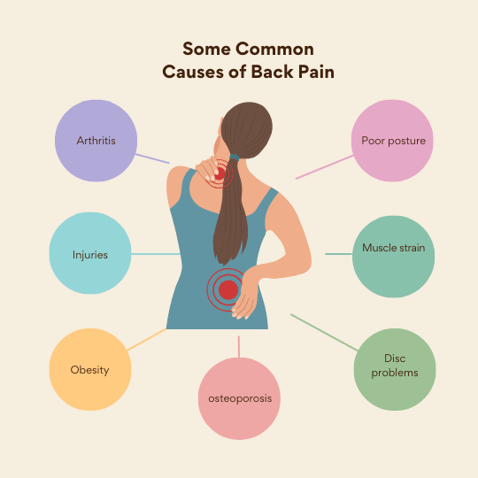 Illustration showing a woman holding her neck and lower back, with labeled circles highlighting common causes of back pain including poor posture, muscle strain, disc problems, arthritis, injuries, obesity, and osteoporosis.
